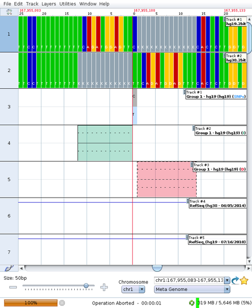 File:Hg19-38 tutorial final result.png